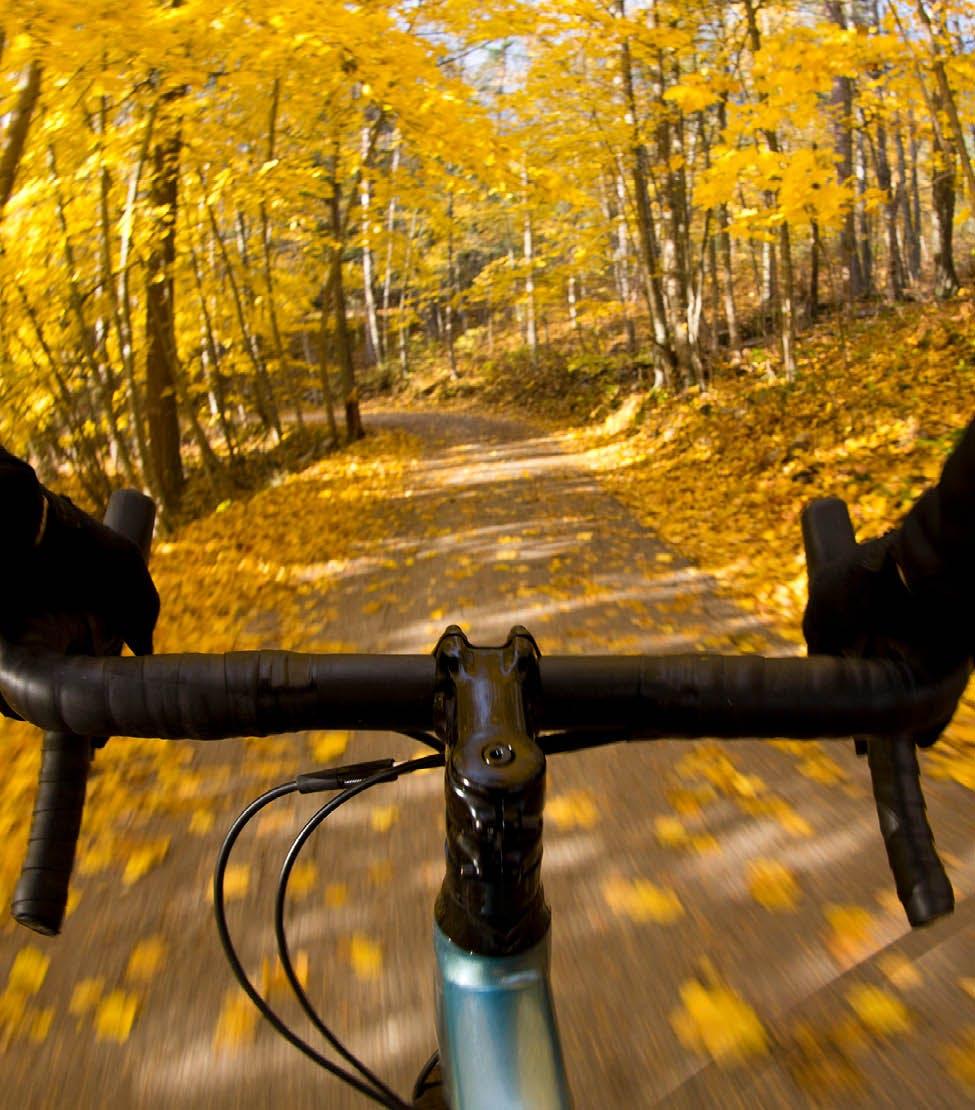 POV shot of cyclists handlebars on autumnal road