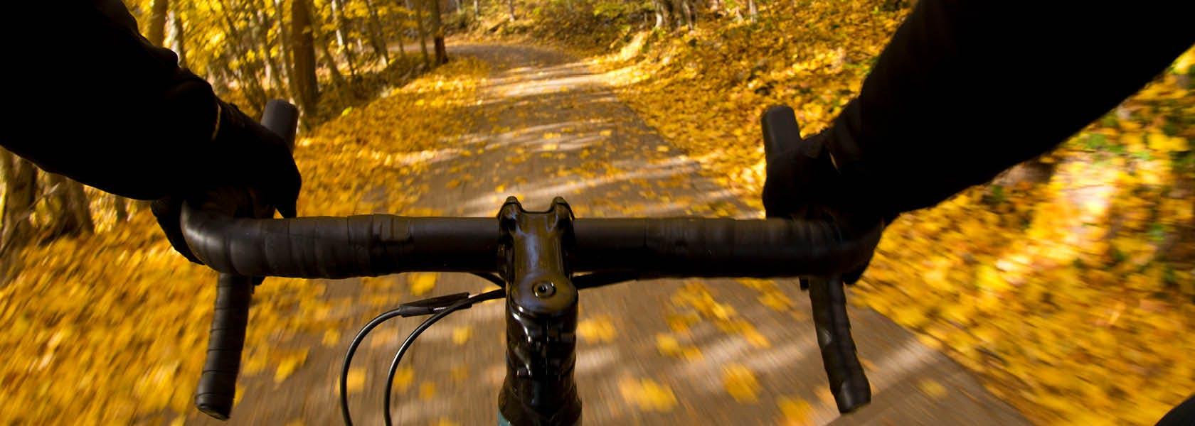 POV shot of cyclists handlebars on autumnal road
